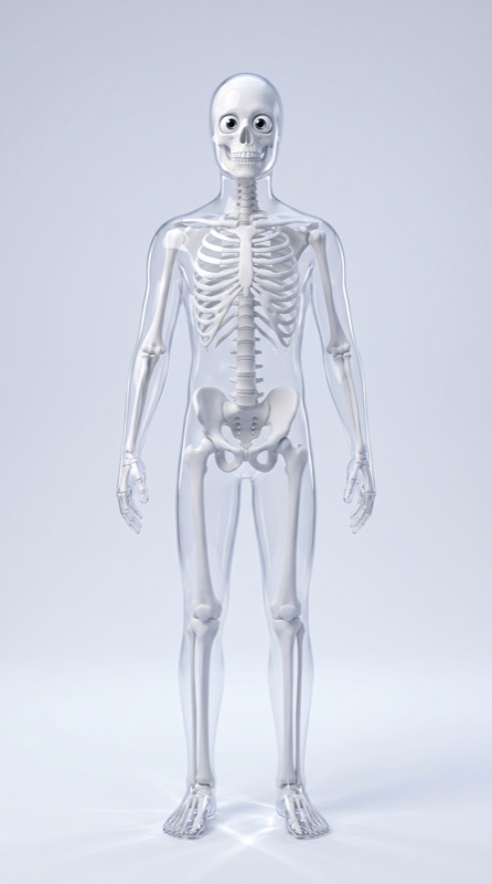Preset Calaveras Glass Skeleton